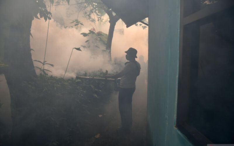 Berantas sarang nyamuk kasus cegah dengue naik di bulan April