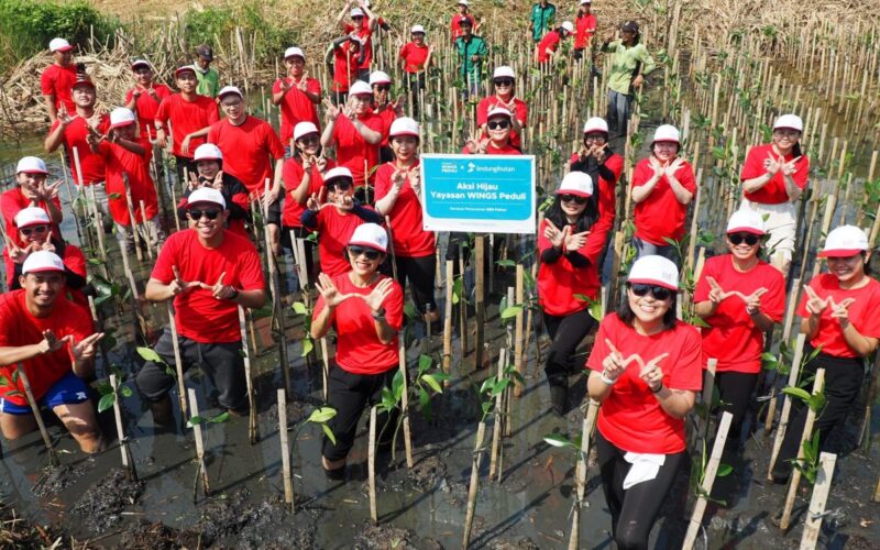 Yayasan WINGS Peduli tanam ratusan pohon mangrove