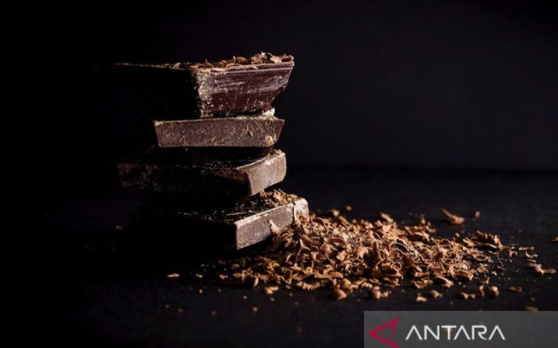 Kiat menikmati cokelat tanpa menganggu diet seimbang